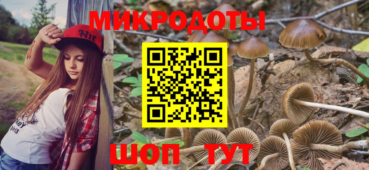 Псилоцибиновые грибы мицелий Ревда