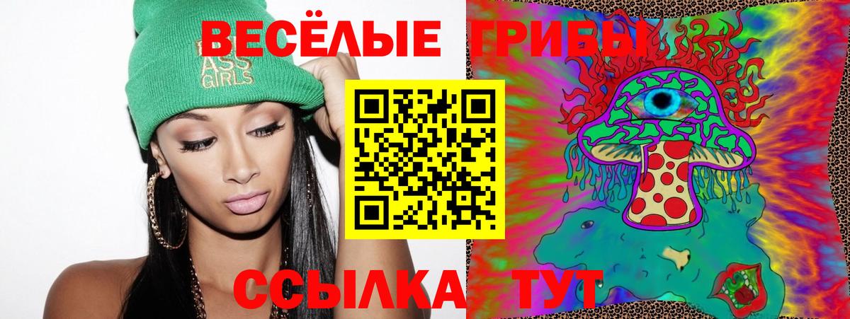 где купить наркоту  Вход с VPN  Ревда  Псилоцибиновые грибы Psilocybe 